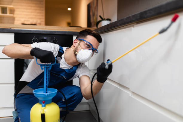 Best Emergency Pest Control  in East Sandwich, MA