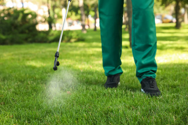 Best Mosquito Control Services  in East Sandwich, MA