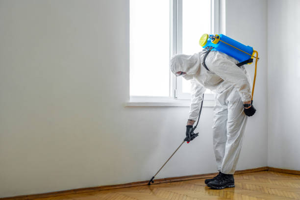 Professional Pest Control in East Sandwich, MA