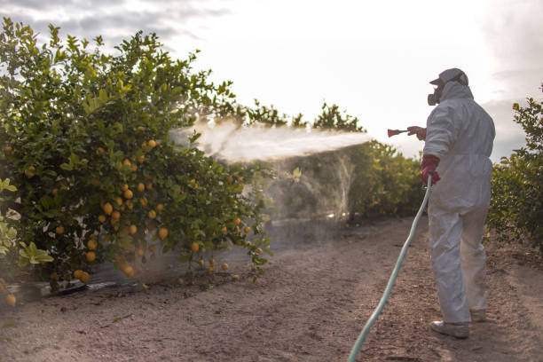 Best Affordable Pest Control Services  in East Sandwich, MA